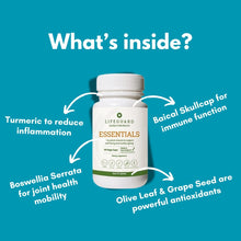 Load image into Gallery viewer, Lifeguard Essentials